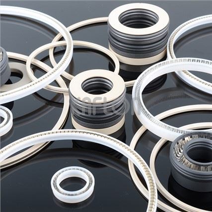H07 PTFE Spring Energized Seal For Valve