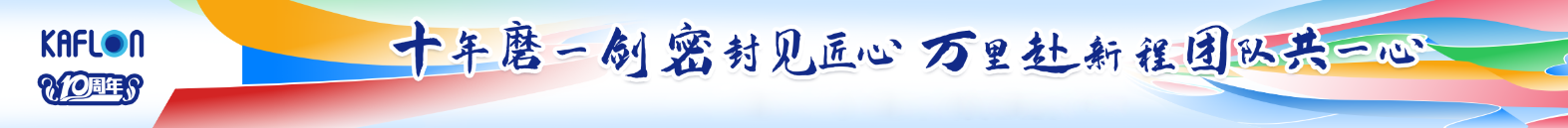 PTFE SPRING ENERGIZED SEAL